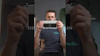 The Best Accessory for the Switch?? 
