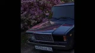 влюбленный волк уже не хищник😔🥀🔥