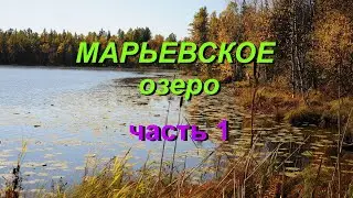 Осень-2022. Еду на Марьевское озеро. Часть 1