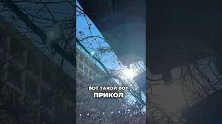 Сербайте, чавкайте, причмокивайте! С этим блюдом можно все!