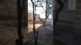 Первый инний