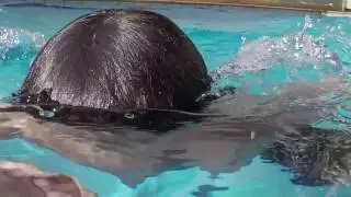 Slowmotion Vicente hero 5 black