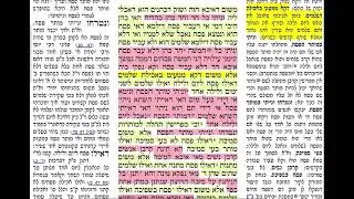 דף יומי מסכת פסחים דף פט Daf yomi Pesachim daf 89 שמואל נבון.