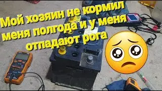 Аккумулятор кальциевый Тюменский лось 60А/ч чуть-чуть не откинул копыта.Поднимем?