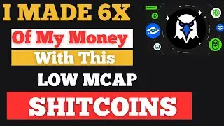 shitcoins trading - Outcome of The Low Mcap Shitcoins to explode
