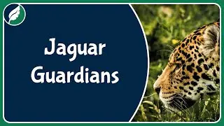 "Tigre Gente" and the Illegal Jaguar Trade