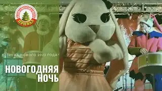 Новогодняя ночь 2023 на Привале