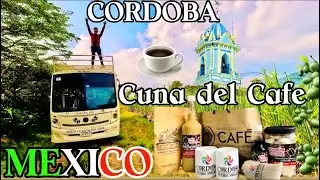 Coffee plantations in Cordoba and the Coffee Museum 2024