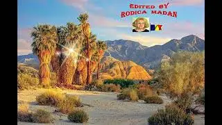 ANZA  BORREGO  DESERT  STATE  PARK  IN  CALIFORNIA  USA  A  !