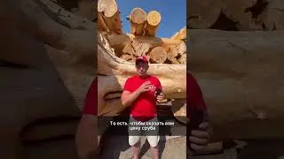 THIS PRICE FOR THE LOG WILL SUIT YOU