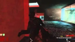 Nueva Serie Call of Duty WaW: Custom Zombies | Aqu