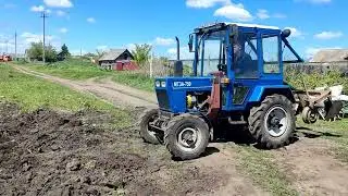 Посадка картофеля 2024