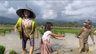 BERMAIN DI SAWAH