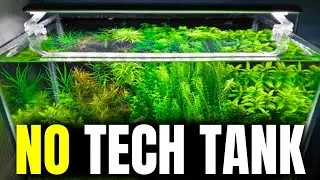 Your Tank Doesn't Need Water Changes Anymore