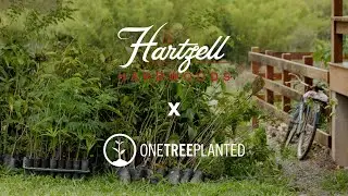 Hartzell Hardwoods Partnership with One Tree Planted