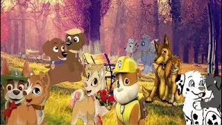 💗Финал щенячей любви. Спасибо за 3 тыс. подписчиков💗