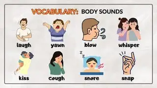 Human Body Sounds English | Vocabulary in English
