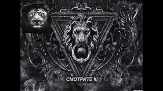 LION BLACK
