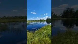 1 июля 2024 г.