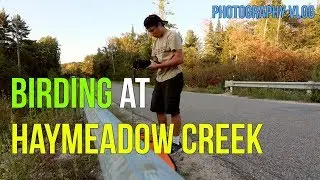Birding at Haymeadow Creek | Photography Vlog