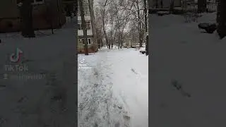 Цены на квартиры рухнут? 