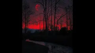 Все сниппеты/Демки Takeluf