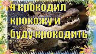 Я крокодил крокожу и буду крокодить