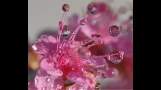 Цвет настроения - розовый!