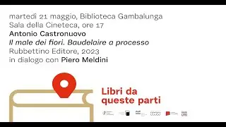 Antonio Castronuovo, Il male dei fiori. Baudelaire a processo