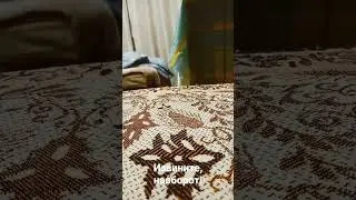 Шутка перед другом (Часть 1(с названиями)