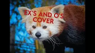 Ex's and O's Cover ShadowSanti Animal Jam Classic