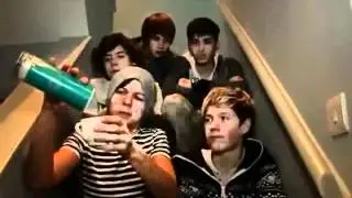 One Direction Funny Moments ... VIDEO DIARY EDITION!