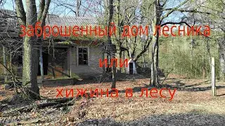 заброшенный дом лесника или хижина в лесу
