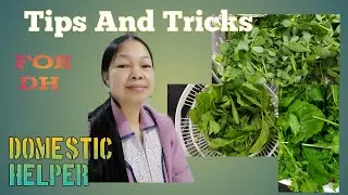 Tips And Tricks For Dh ( Domestic Helper )