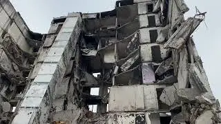 Кот выжил после бомбардировки
