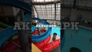"Карибия" - Это любовь!  #shortsvideo
