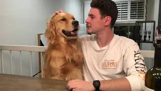 Louie Has A Whole Lotta Love To Give