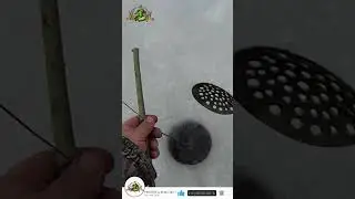 ЗИМНЯЯ РЫБАЛКА.ТРОФЕЙНАЯ ЩУКА на ЩУКОЛОВКУ🎣🦈👀
