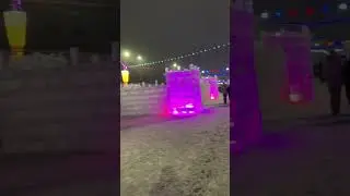 Алтайская Елка