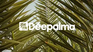 Rosario Galati & Yves Murasca - Be Sure to Let Go [Déepalma Records]