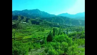 ژوند لکه تنور شو قدردانه دا به څنګه شي منګی رباب - Juand Laka Tanur Sho Qadardana Mangay Rubab
