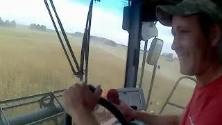 Убираем яровую пшеницу . 10 АКРОСОВ .ТОРУМ 785. КЕЙС.