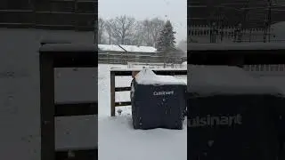 Winter Storm Ember