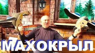 МАХОКРЫЛ РАСПАКОВКА ОХОТА НА УТОК НА КУБАНИ ПЕРВАЯ СЕРИЯ РЕЦЕПТЫ СЮФ