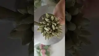 Whipping cream piping design #bakinglove #flowers #cakedecorating 💕💕