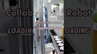 🔄 Collaborative Robot – Lid Loading and Unloading Application!