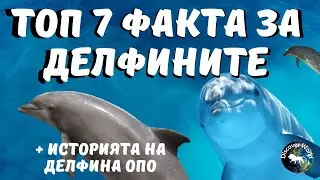 ДЕЛФИНИТЕ ЩЕ ВИ УСМИХНАТ С ТЕЗИ ТОП 7+ УДИВИТЕЛНИ ФАКТА!