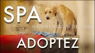 DAUPHINE's ANIMAL SHELTER