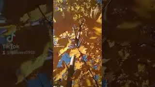 осень #мыдеревенские