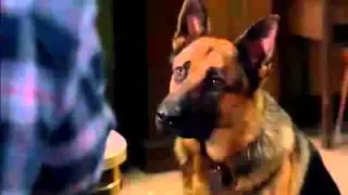 Dean plays fetch